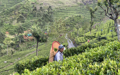 Le déconfinement ce n&rsquo;est pas pour demain