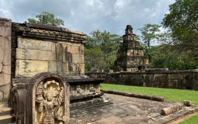 Pourquoi la bourse se porte aussi bien avec le covid-19