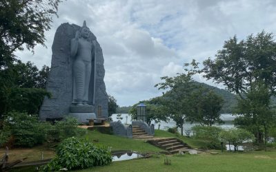 Il n’y a pas de bonnes affaires dans l’immobilier !