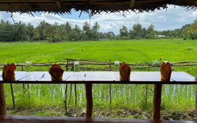 Il n&rsquo;est pas possible de gagner de l&rsquo;argent immédiatement avec l’immobilier !